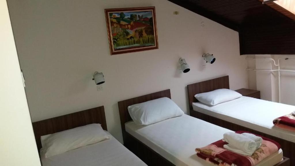 Hotel Restoran Sa Prenocistem Zitiste Exterior foto